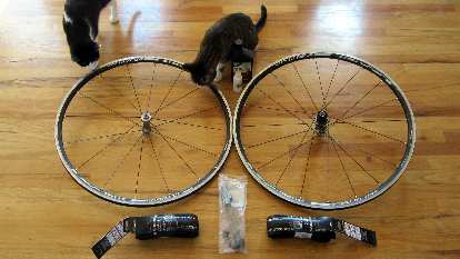 Thumbnail for Related: Tubeless Road Tires (2014)