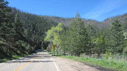 Climbing up the scenic Poudre Canyon, which was very green in May 2015. Poudre Canyon, green trees