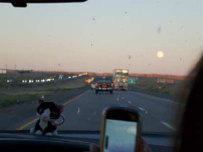 Driving towards Santa Fe and a full moon with Asiatic Wildcat on the dash.