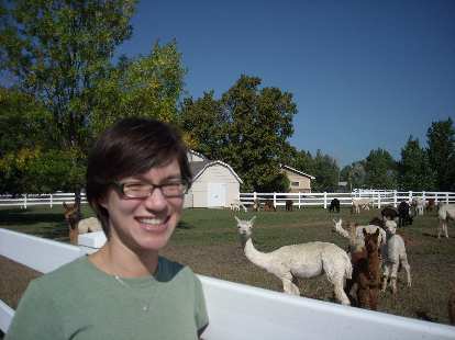 Sarah and the alpacas. Sarah and the alpacas.