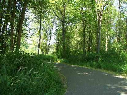 The Burke-Gilman trail was very green! The Burke-Gilman trail was very green!