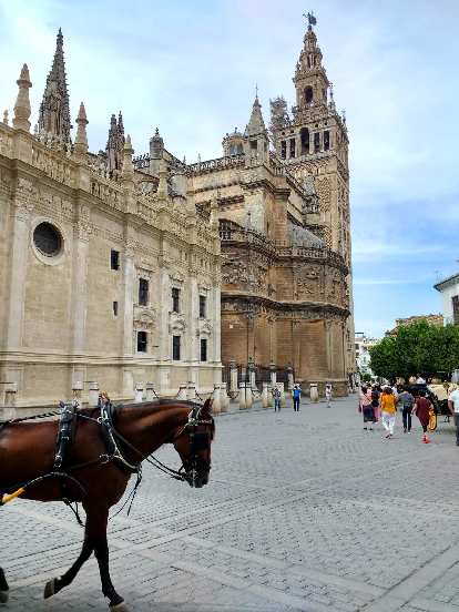 Horse at Alcázar of Seville. Horse at Alcázar of Seville.