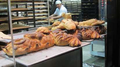 Bread alligator at Boudin.