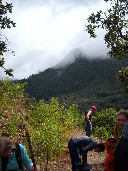The top of the mountain in the distance is where we hiked from.