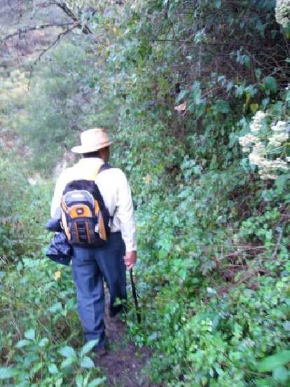 Mauricio -- our Spanish-speaking guide -- helped clear the path using a machete.