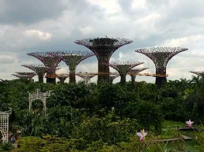 Gardens by the Bay in Singapore.