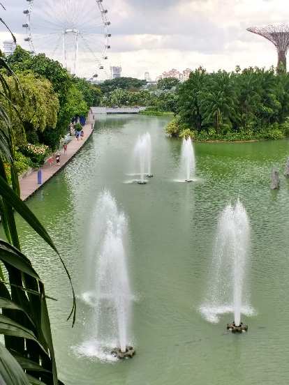 View of fountains at Gardens by the Bay.