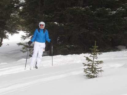 Kelly skiing through the trees for a little bit after going over a log. Kelly skiing through the trees for a little bit after going over a log.