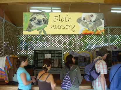 The sloth nursery.