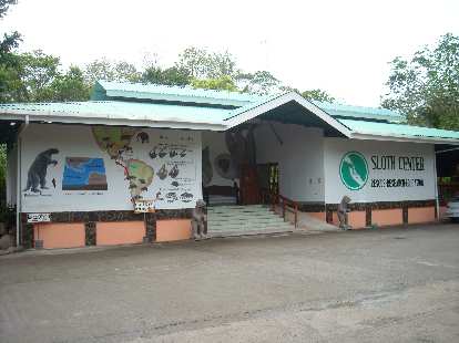 The Sloth Sanctuary. The Sloth Sanctuary.