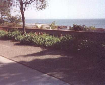 Pacific Coast, San Luis Obispo, 1999 Solvang Double Century.