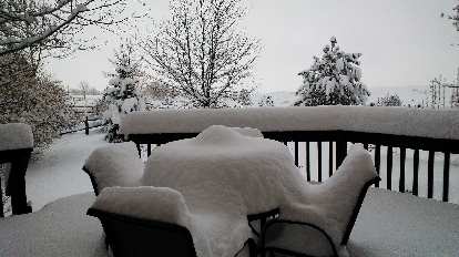 Day 3: About 20 inches of snow!