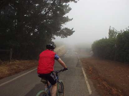 Near the top of Montebello Rd. was quite foggy. Near the top of Montebello Rd. was quite foggy.