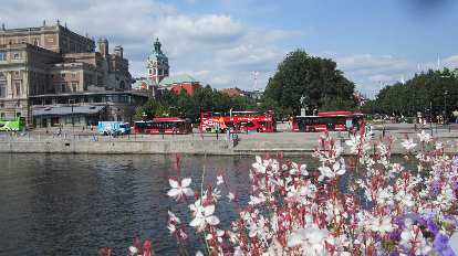 Flowers and tour buses, as seen from the Royal Palace.