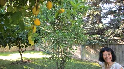 Mom and a lemon tree.