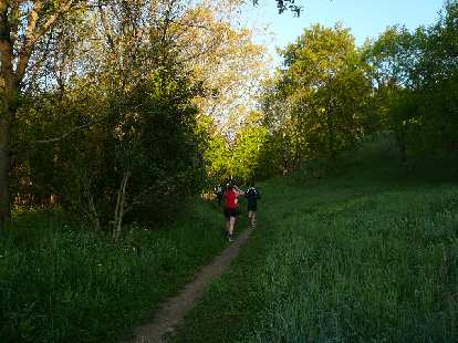 [Mile ~4] The Sulphur Springs trail was wonderfully lush as was most of the course.