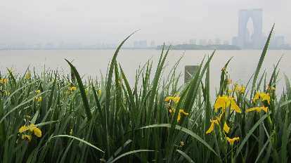 Suzhou in the distance.