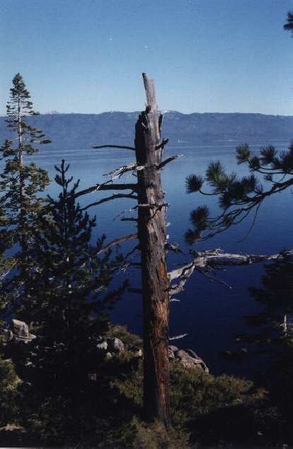 Thumbnail for Related: Emerald Bay, CA (2000)