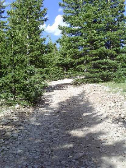 [Day 22] This steep half-mile section of scree in Northern NM was unrideable.