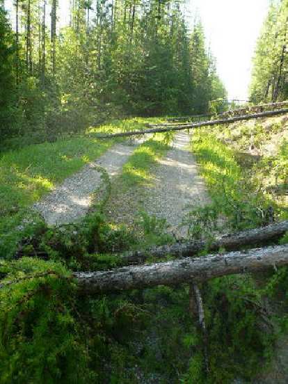 [Days 4 & 5] In northern Montana, there were also downed trees that I had to dismount for about 100 times.