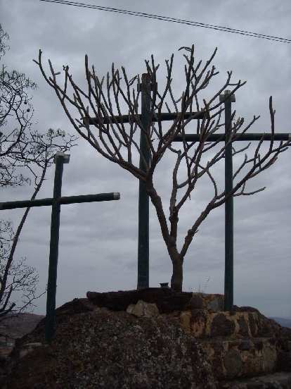 Crosses and what looked like a manzanita outside of Casa Sagrada. Crosses and what looked like a manzanita outside of Casa Sagrada.