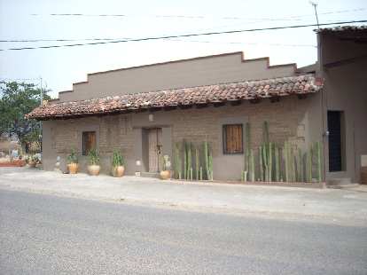 House with cacti.
