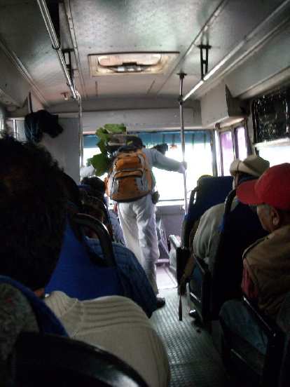 A person with a plant in his backpack on the autobus de segunda clase on our way to Teotitlan de Valle.