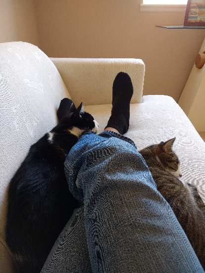 Oreo and Tiger taking an afternoon nap on the couch with me. (31 May 2017) Oreo and Tiger taking an afternoon nap on the couch with me.