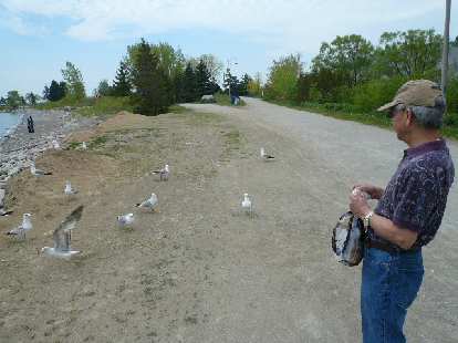 The next day, Stephen and I went to the Scarborough Bluffs to feed the birds. The next day, Stephen and I went to the Scarborough Bluffs to feed the birds.
