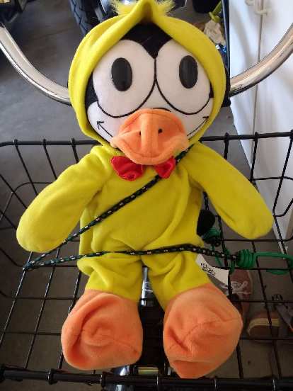 Safety first! Felix the Cat (wearing a yellow duck costume) all buckled in. Felix the Cat wearing a yellow duck costume, bungee cord seat belt
