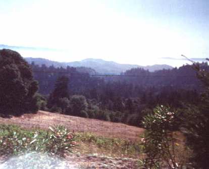 1998 Tour de Napa Valley scenery. trees, mountains, 1998 Tour de Napa Valley