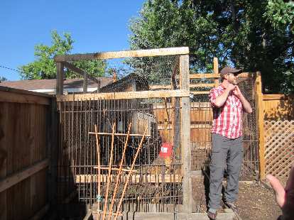 This chicken coop actually crossed property lines so that the neighbors could enter it when the owner was away.