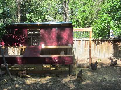 Another chicken coop. Another chicken coop.