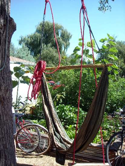 Nice hammock. Nice hammock.