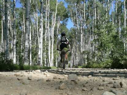 Day 15: This is more like it. Aspen Alley, WY, less than 20 miles north of Colorado. (27 Jun 2008) Day 15: This is more like it. Aspen Alley, WY, less than 20 miles north of Colorado.