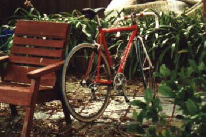 1999 marked her next major componentry upgrade: to 27-speed Campagnolo components! For a few months we also experimented with some (hideous-looking) green Michelin tires (sorry, Canny). (01 Jun 1999) 1999 marked her next major componentry upgrade: to 27-speed Campagnolo components! For a few months we also experimented with some (hideous-looking) green Michelin tires (sorry, Canny).