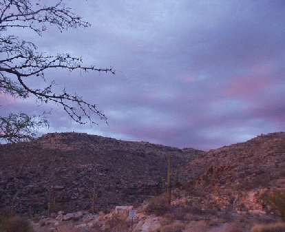 The sky turned purple as the sun lowered.