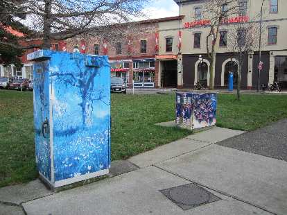 The City of Victoria does the same thing Fort Collins does: have artists paint the utility boxes to discourage vandalism.