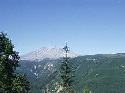 Mt. St. Helens in the distance.  Prior to its catastrophic eruption on May 18, 1980, it was much pointier than it is now!