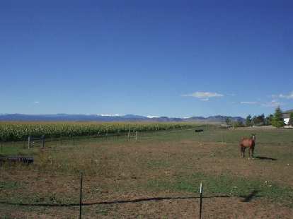 [Mile 87, 11:02 a.m.] Cornfields, snow-capped mountains, and horses.