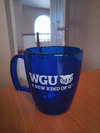 Thumbnail for Related: The MSML Degree Program at Western Governors University (2018)