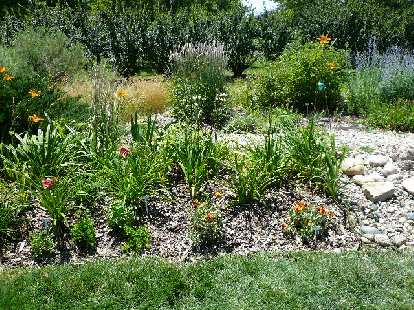 I loved the Morgan's perennial garden!  This will be the inspiration for my own...