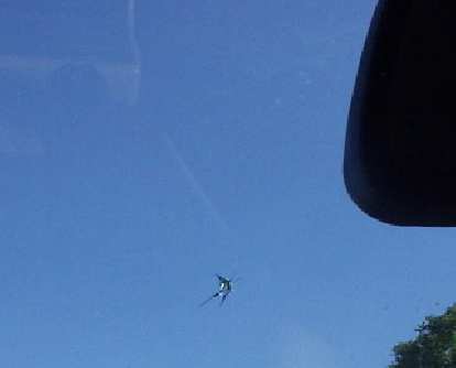crack in a windshield