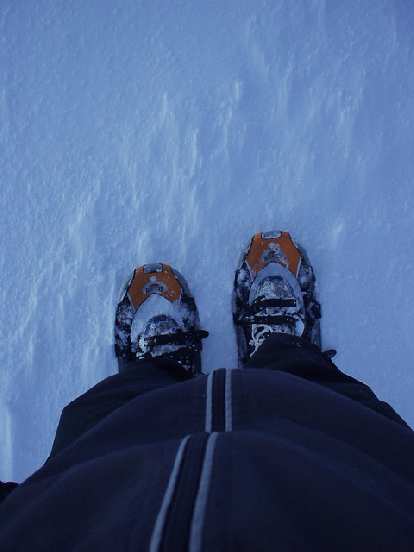But I stuck to the trail as I wanted to try out my new RedFeather Race snowshoes today. But I stuck to the trail as I wanted to try out my new RedFeather Race snowshoes today.