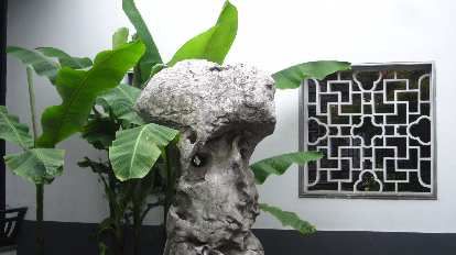 Plant, rock and window at Xue Family Garden.
