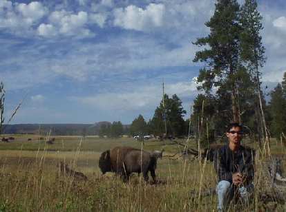 Felix Wong and some buffalo. Felix Wong and some buffalo.
