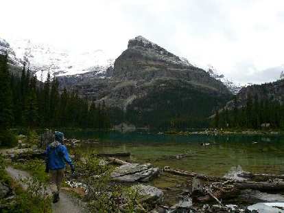 The water in Lake O'Hara was super clear. The water in Lake O'Hara was super clear.