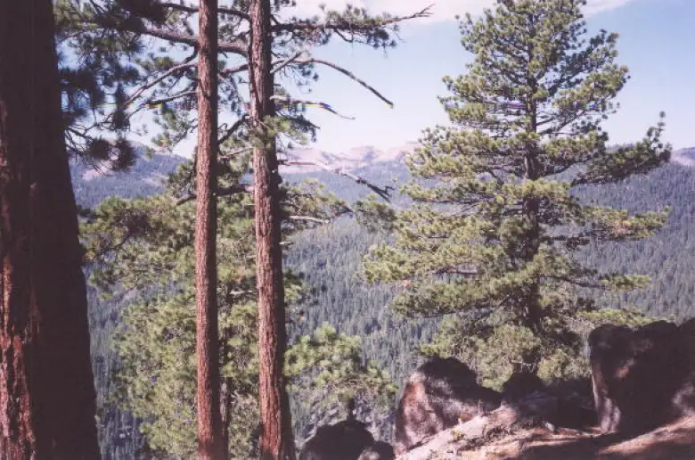 Great views abound!