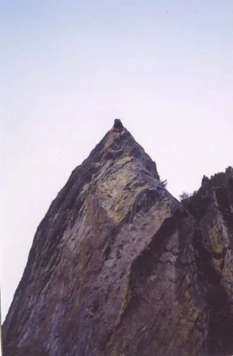 Super Sharon makes it to the top!