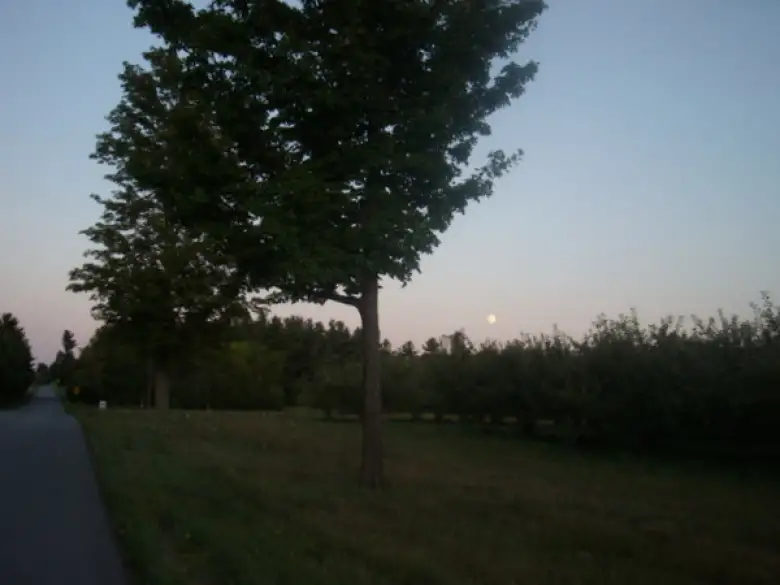 [Mile 409] Riding towards a full moon in the quebecois countryside is one of my enduring memories of Boston-Montreal-Boston.